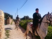 Horse Riding Malta , no experience needed